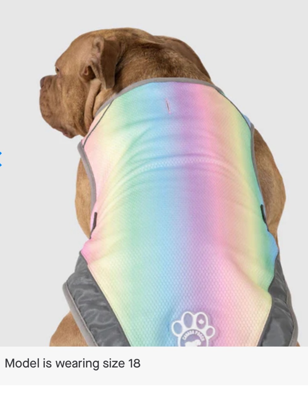 Canada Pooch Chill Seeker Pastel Rainbow Cooling Dog Vest size 16